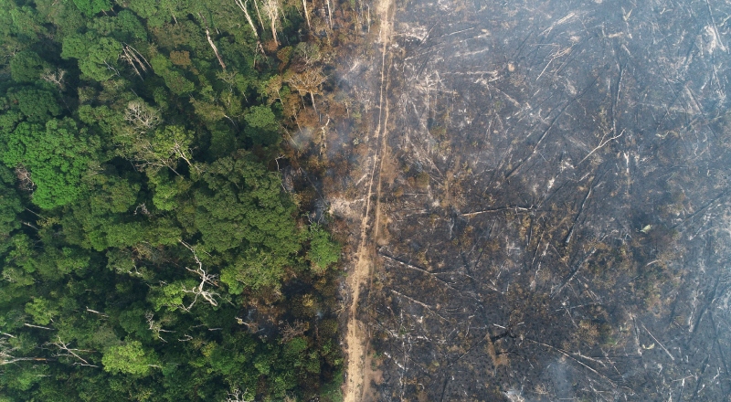 Desmatamento ameaça terras indígenas no Amazonas, aponta relatório
