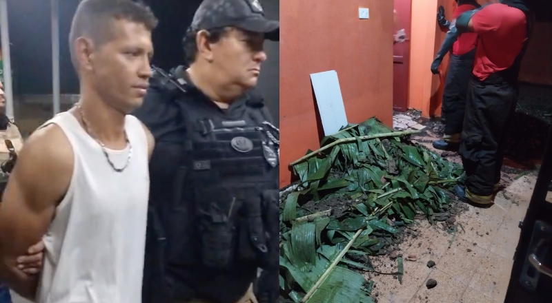 Falso jardineiro mata patrão de 67 anos, “faz a limpa” e se passa pela vítima para enterrar corpo em Manaus; veja vídeo