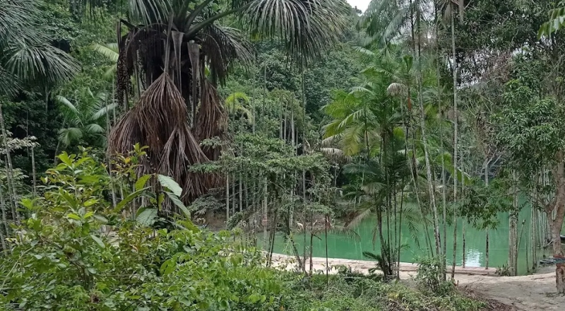 Corpo de jovem desaparecido é encontrado na região da Lagoa Azul, no Distrito Industrial II