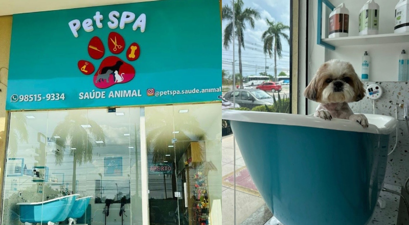 Pet Spa em Manaus conquista tutores ao oferecer banho terapêutico e cuidados especiais para cães e gatos