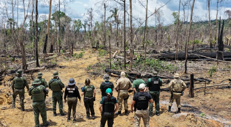 Operação Tamoiotatá 6 aplica R$ 28 milhões em multas no combate ao desmatamento no Amazonas