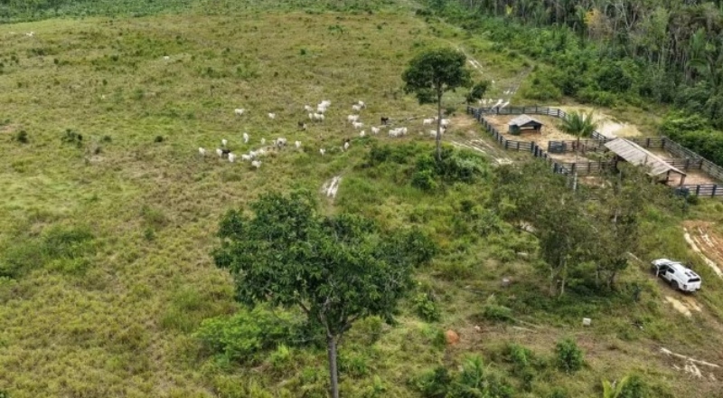 Fiscalização no sul do Amazonas aplica R$ 585 mil em multas por desmatamento