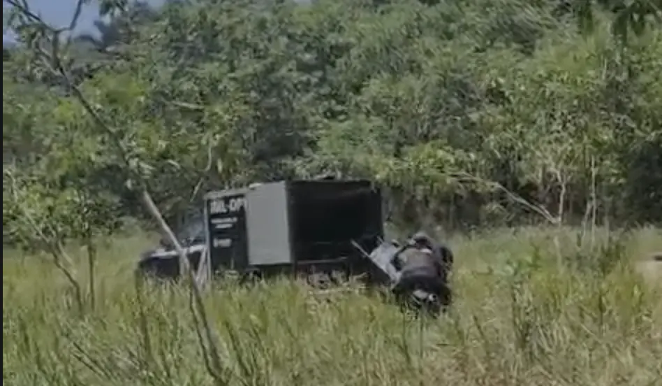 corpo em decomposição é encontrado em área de mata no Distrito Industrial em Manaus