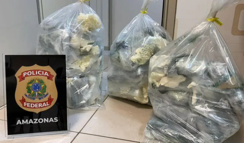 mulher é presa com mais de 36 kg de drogas antes de embarcar