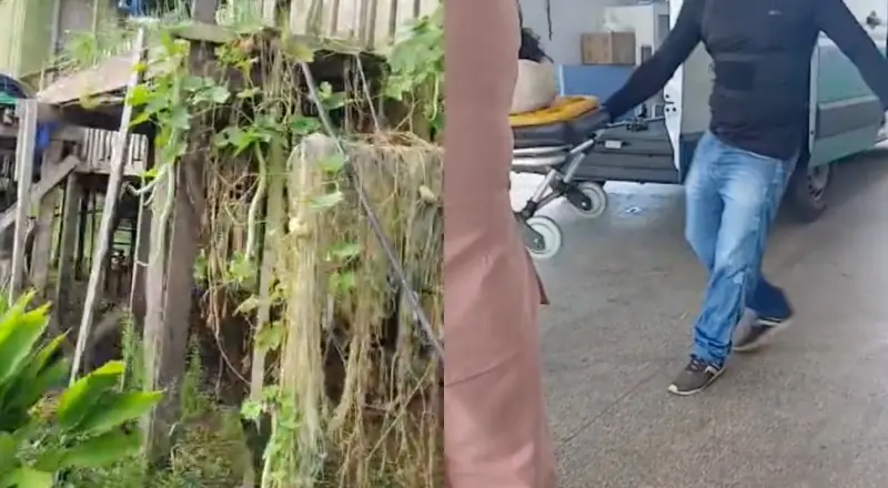 filho dá tiro de escopeta em vizinho que arrancou a mão do seu pai no terçado, em Manacapurus