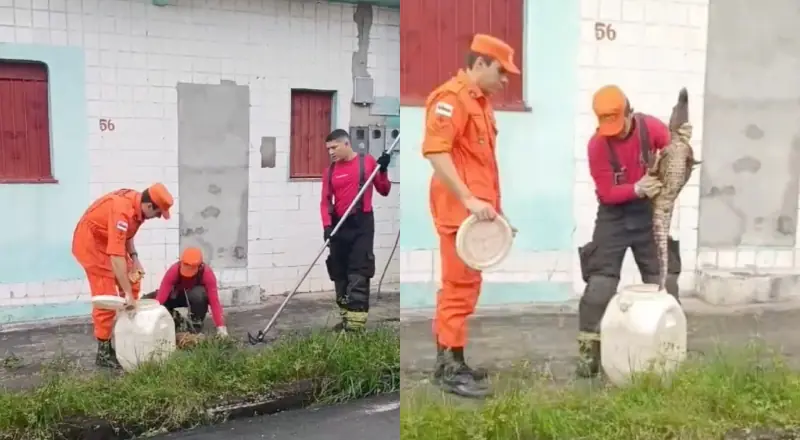 "Lacoste" é resgatado por bombeiros no bairro Cidade Nova