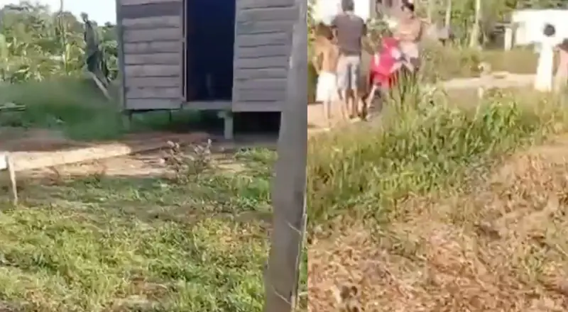 Pai mata filho a pauladas em Alvarães após jovem chegar da rua em surto por drogas