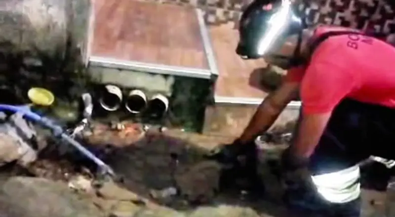 Sucuri gigante é encontrada em frente a casa e assusta moradores em Manaus