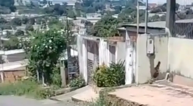 suposto ladrão tem 'CPF cancelado' na comunidade Campos Sales, em Manaus