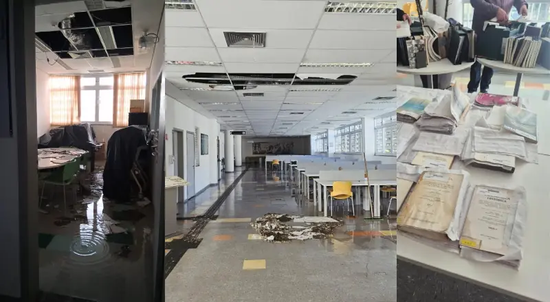 Após teto desabar, funcionários correm para salvar acervo de biblioteca alagada na USP; veja