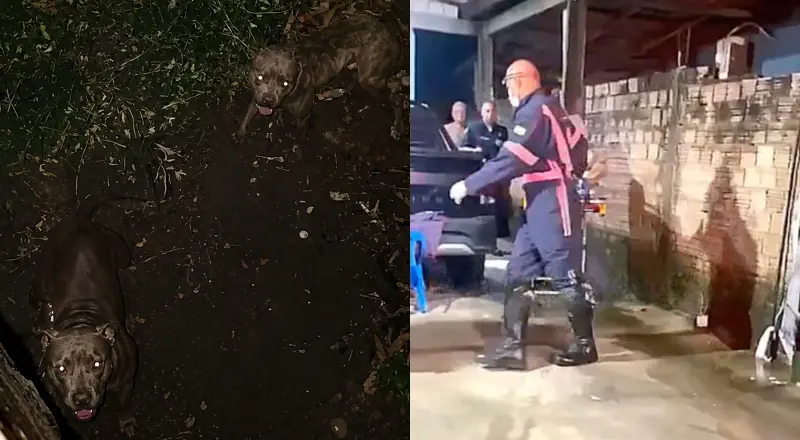 "tiveram que chamar o SAMU!"