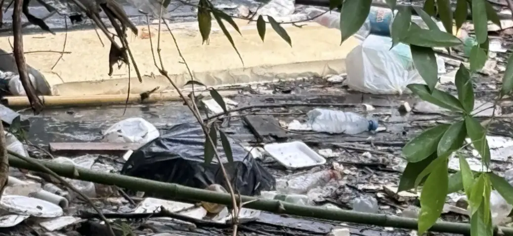 mulher trans é assassinada e jogada em igarapé atrás do Bosque Grill em Manaus