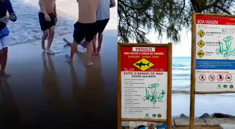 mulher é mordida por tubarão em praia de Pernambuco Ataque tubarao Recife