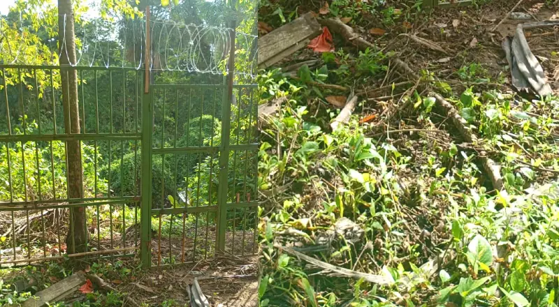 Capivara morta é confundida com corpo desovado em Manaus