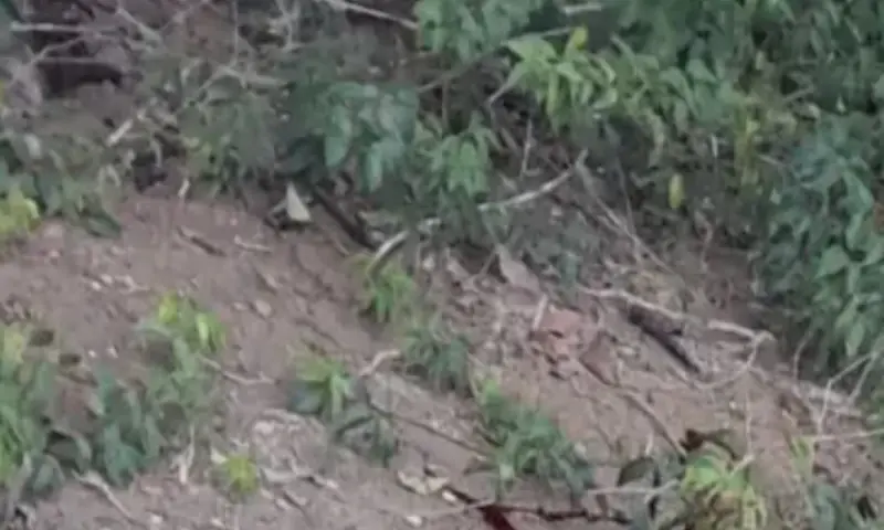 Homem é morto com tiro na cabeça no bairro Ponta Negra; veja