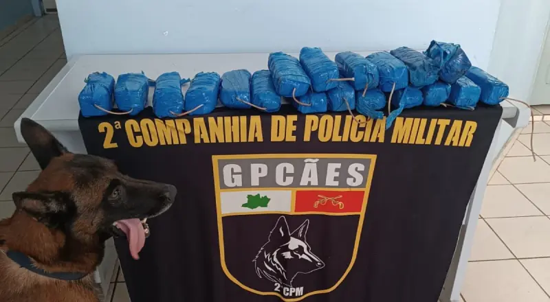 Coca1na avaliada em R$ 553 mil é encontrada em fundo f4lso de barco no interior do Amazonas