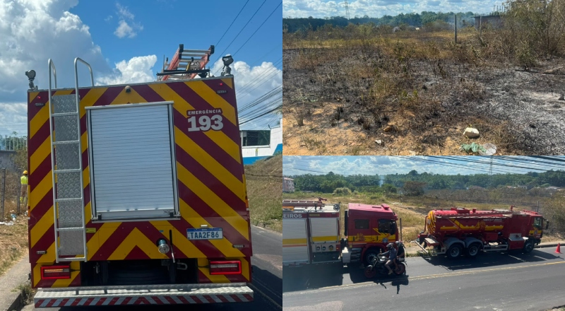 Urgente: Inc3ndio atinge área de vegetação no bairro Novo Aleixo, em Manaus