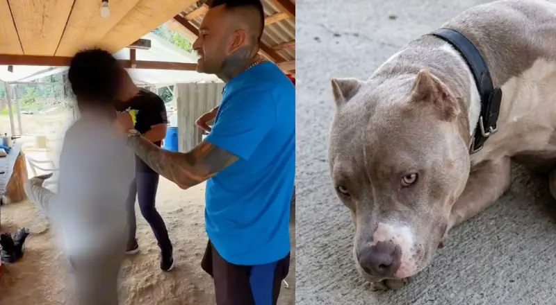 ‘Boga nervoso’: Sargento Salazar prende homem que abusou de cachorro em Presidente Figueiredo