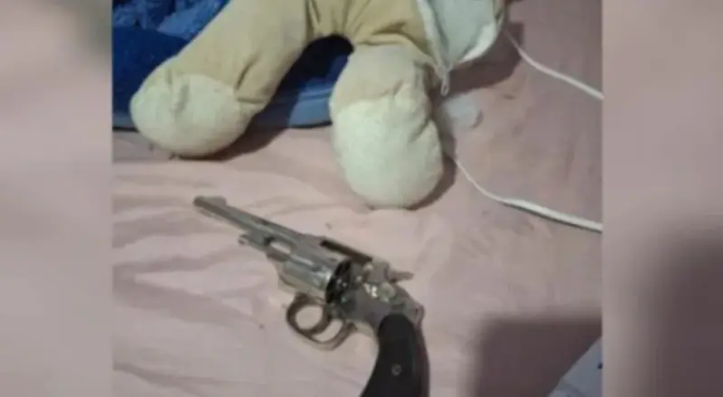 Mulher é presa após polícia encontrar revólver escondido dentro de urso de pelúcia em SC