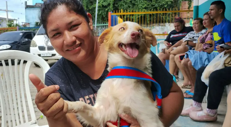 Corra! CCZ abre vagas para castração gratuita de cães e gatos em Manaus; saiba como agendar