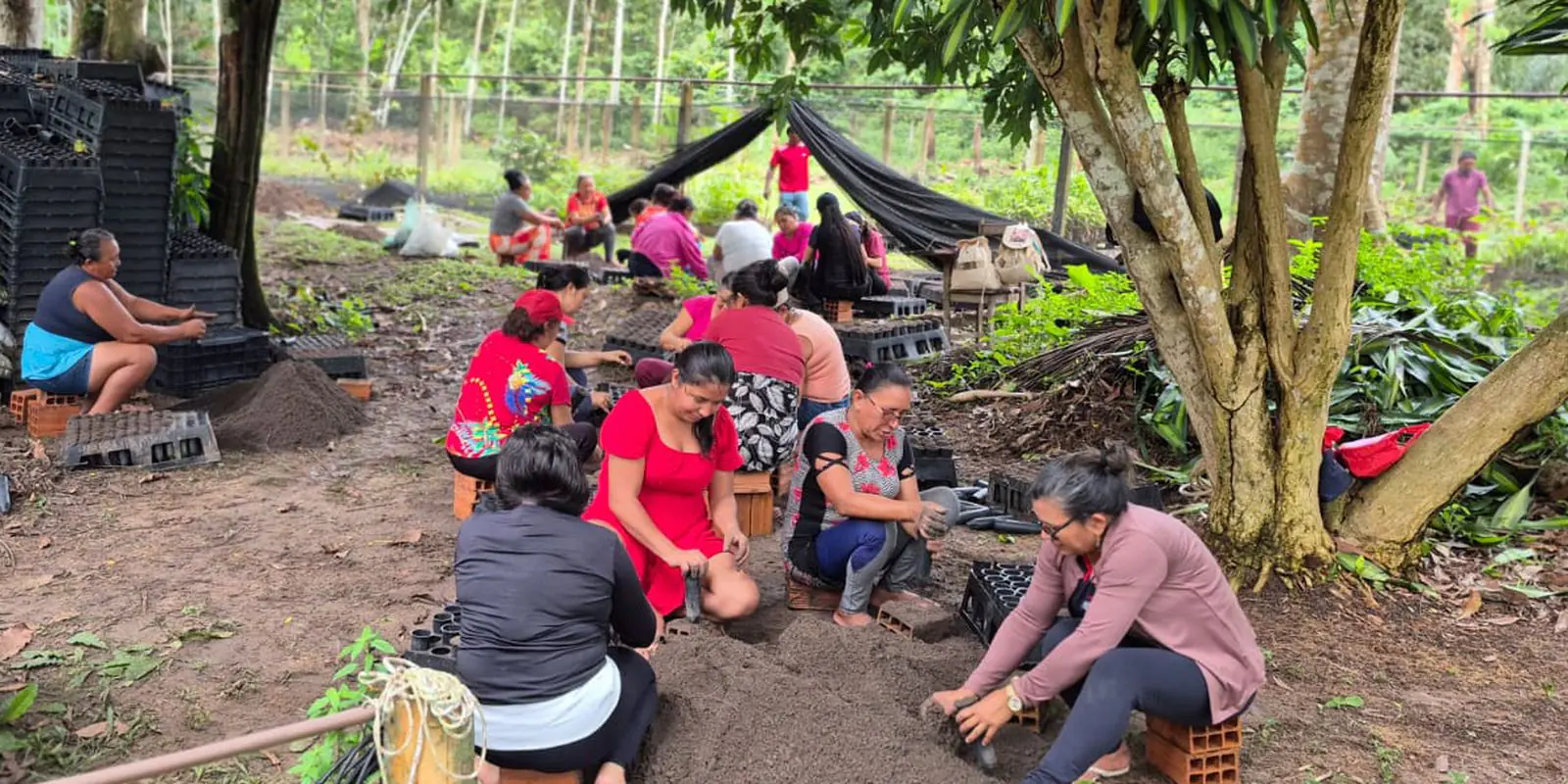 União feminina: Como mulheres de diferentes etnias e comunidades se uniram para salvar a Amazônia
