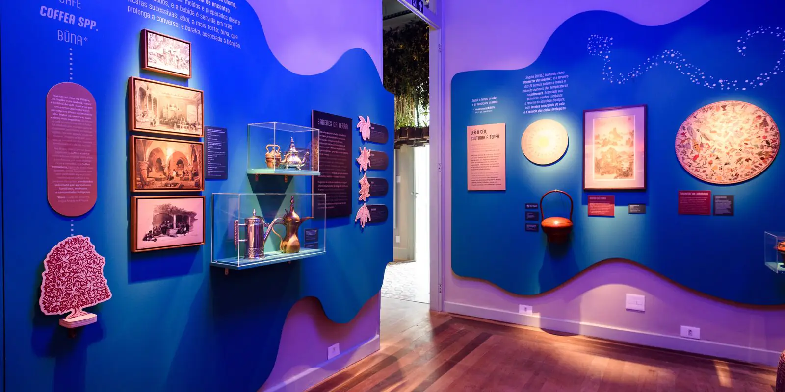 Exposição O Tempo das Plantas: Uma Experiência de Desaceleração