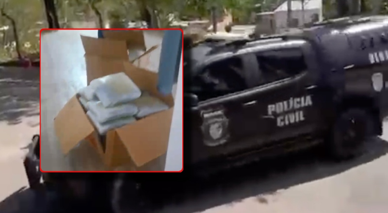 Polícia apreende 700 kg de skunk em galpão na zona Norte de Manaus; veja vídeo