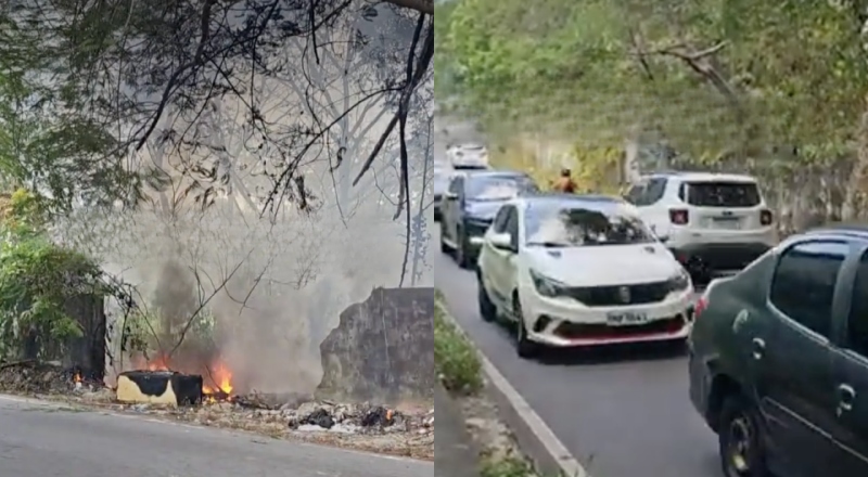 Incêndio de grandes proporções atinge área de mata no Parque 10 e assusta moradores