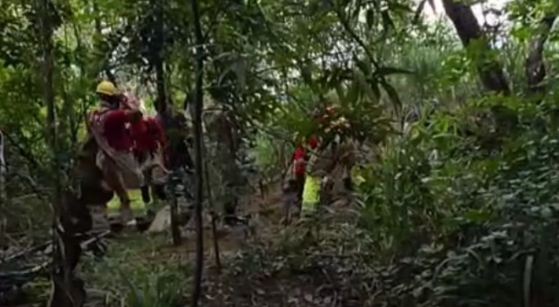 Urgente: corpo é encontrado em cova rasa em área da mata próximo da Constantino Nery em Manaus; vídeo