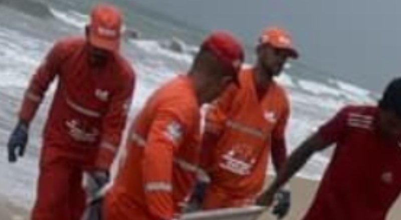 Um filme de terror! Quatro tartarugas e um boto-cinza são encontrados sem vida em praia do litoral em menos de 48 horas; veja vídeo