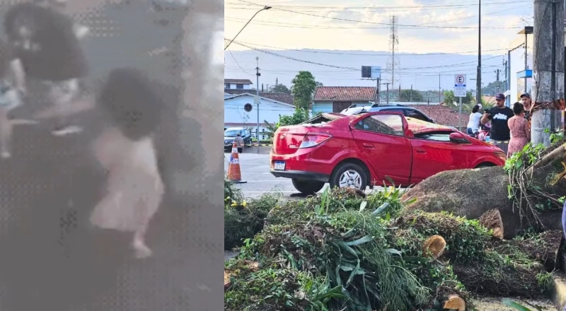 Advogada entra em desespero ao descobrir que árvore caiu em cima de carro onde estavam seu filho e marido; veja vídeo