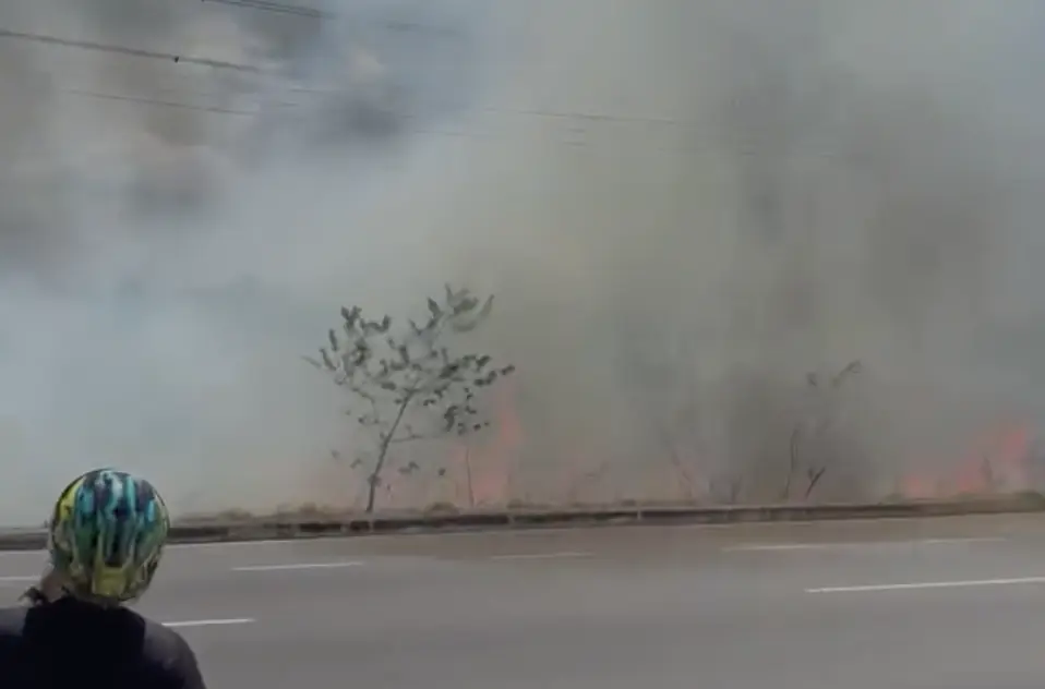 Incêndio atinge área de mata na Avenida das Torres, em Manaus; veja vídeo