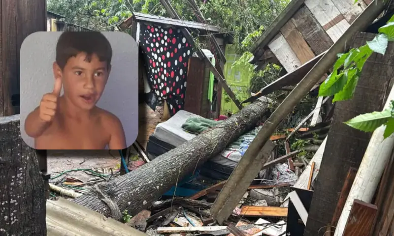 Menino de 8 anos morre após árvore cair sobre casa