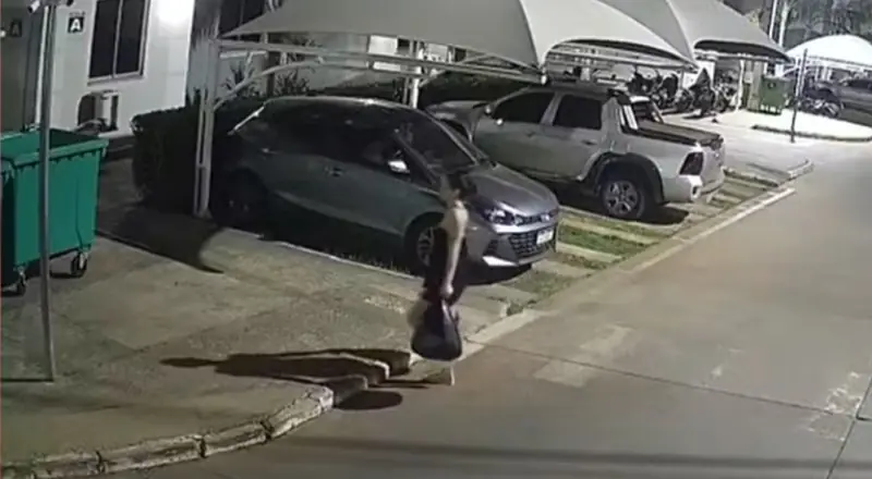 Desumano: Câmeras de segurança mostram mãe  abandonando filha recém-nascida em lixeira