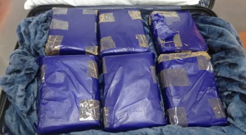 Viagem cancelada: mulher é presa com 12 kg de skunk escondidos em mala no Aeroporto de Manaus