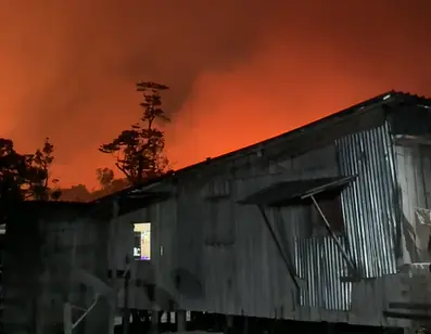 Incêndio florestal avança e ameaça destruir casas na estrada de Novo Airão