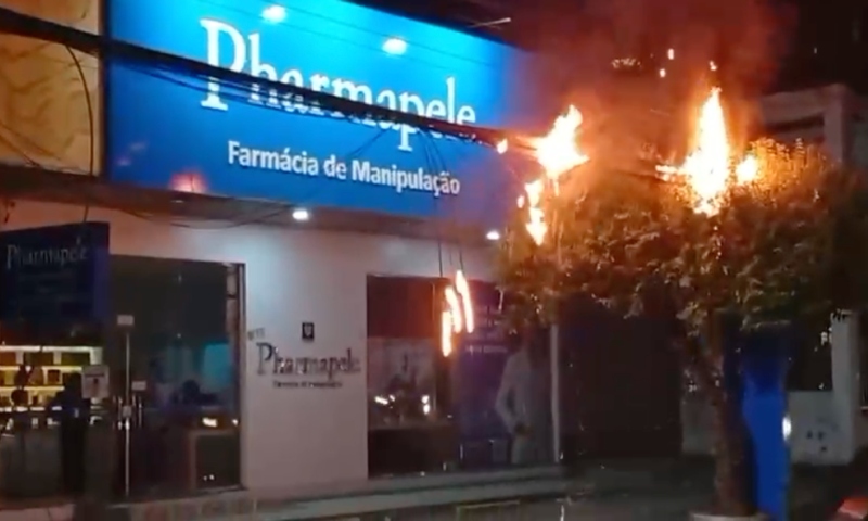 Fiação pega fogo e incêndio se espalha por árvore na Avenida Humberto Calderaro; veja vídeo
