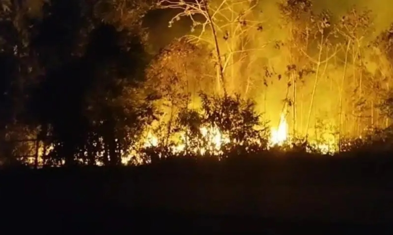 Incêndio de grandes proporções atinge lixão e se espalha por área de mata em Maués; veja vídeo