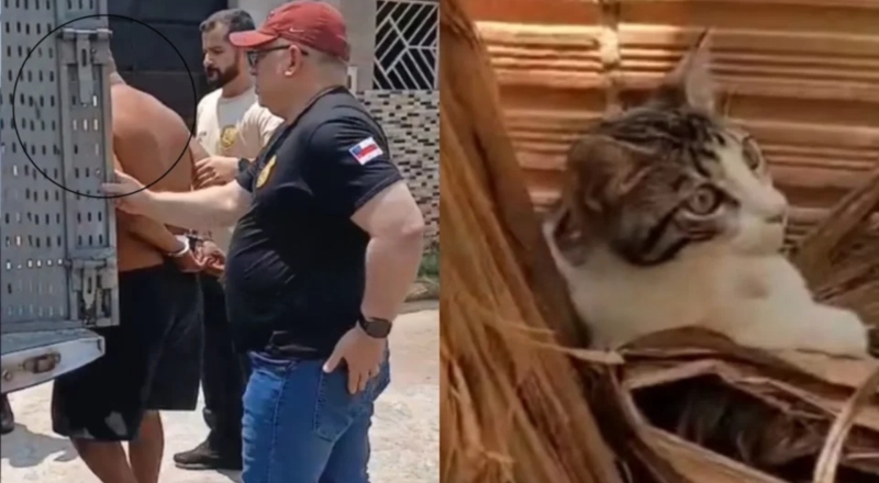 Três homens são presos suspeitos de maus-tratos contra gato em Itacoatiara; veja vídeo