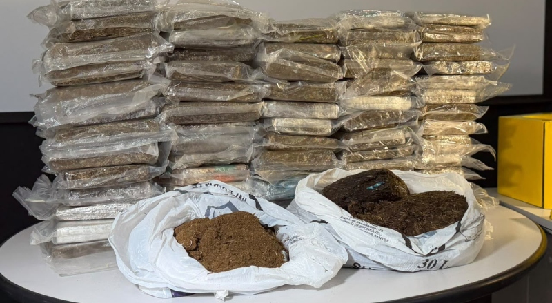 Denarc apreende 56 kg de skunk e registra recorde histórico em 2026