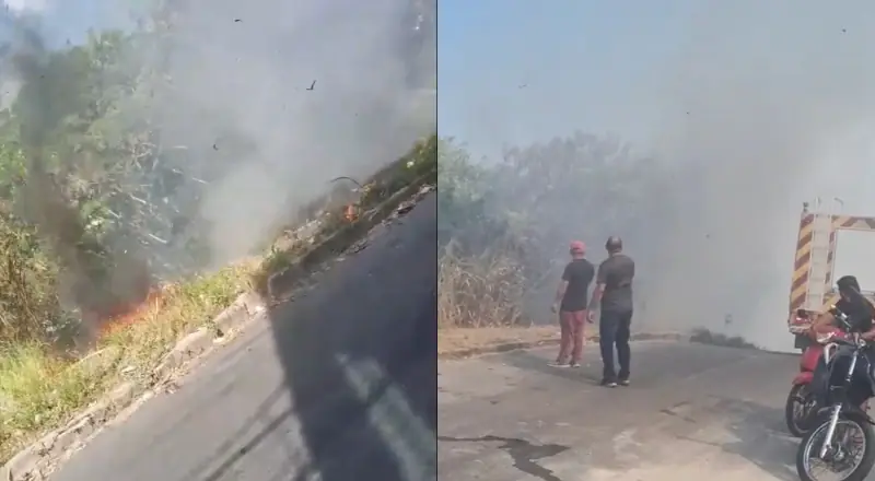 Urgente: Incêndio atinge área de mata no bairro Novo Aleixo