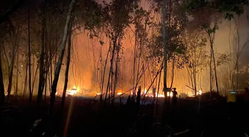 Incêndio devasta mata há três dias e deixa ar quase irrespirável na Estrada de Novo Airão